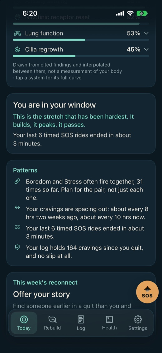 The window card, open, reading: You are in your window.
                  This is the stretch that has been hardest. It builds, it
                  peaks, it passes. Below it, a Patterns card listing four
                  measured facts from the same log.